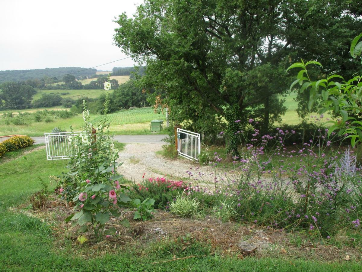 Bienvenue Dans Notre Petit Paradis Appartement Pelleport Buitenkant foto