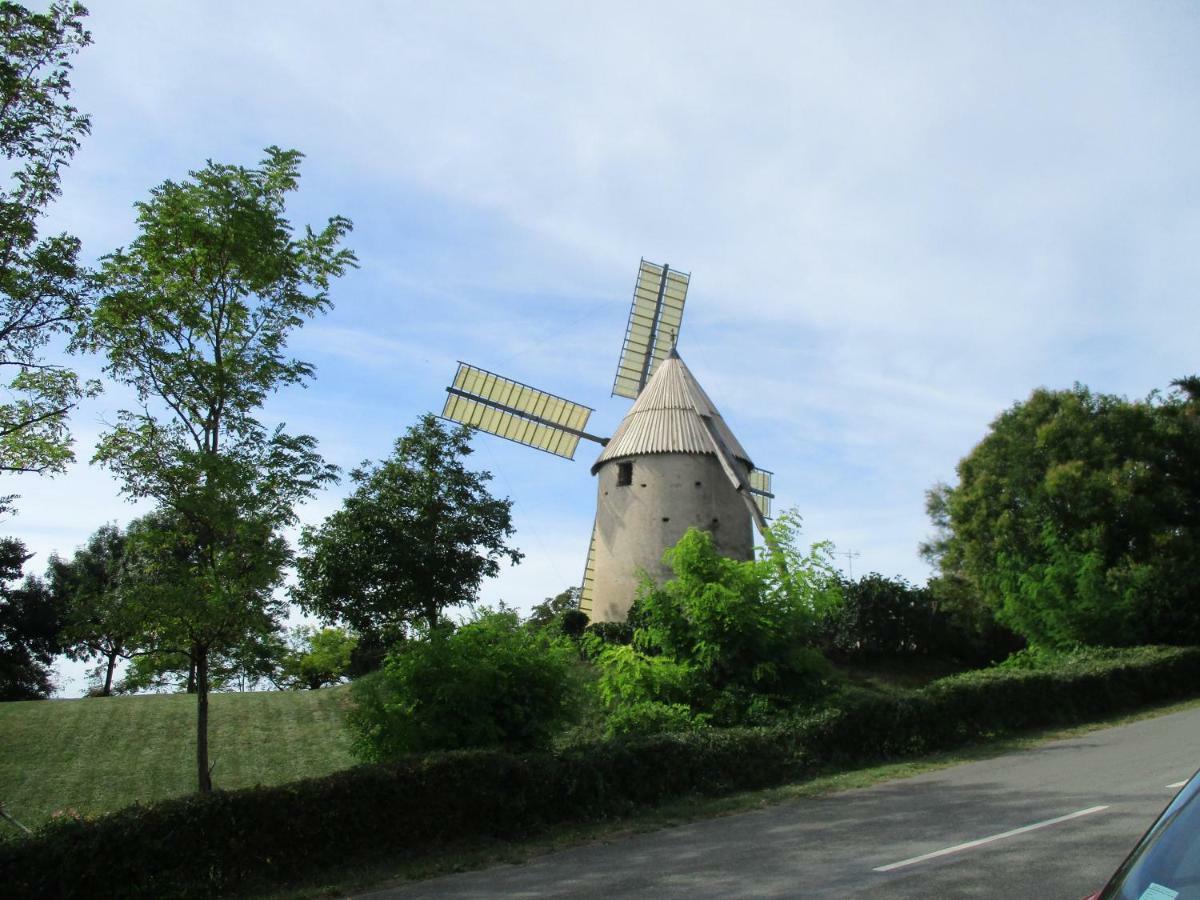 Bienvenue Dans Notre Petit Paradis Appartement Pelleport Buitenkant foto